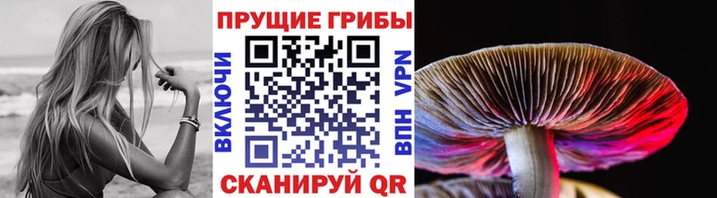 Галлюциногенные грибы Cubensis  Приволжск 