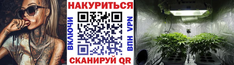 Конопля SATIVA & INDICA  Приволжск 